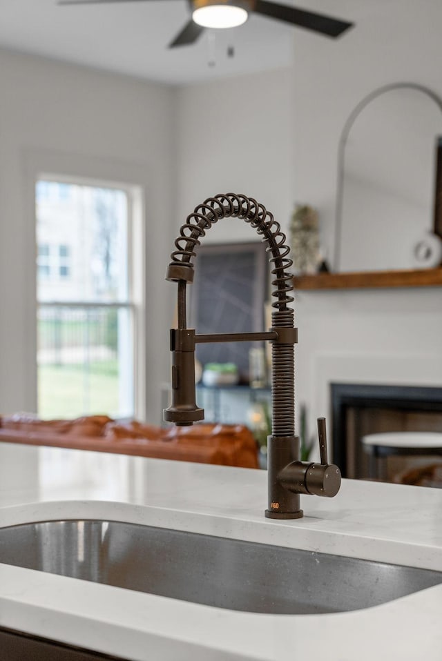 room details with sink and ceiling fan