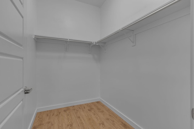 walk in closet featuring light hardwood / wood-style flooring