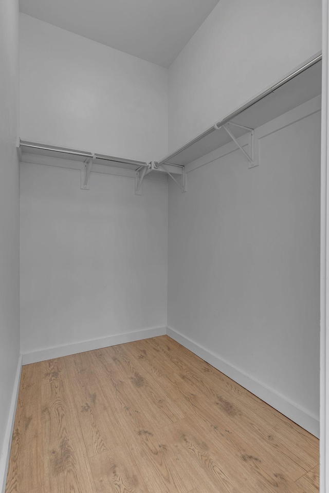 spacious closet with light wood-type flooring