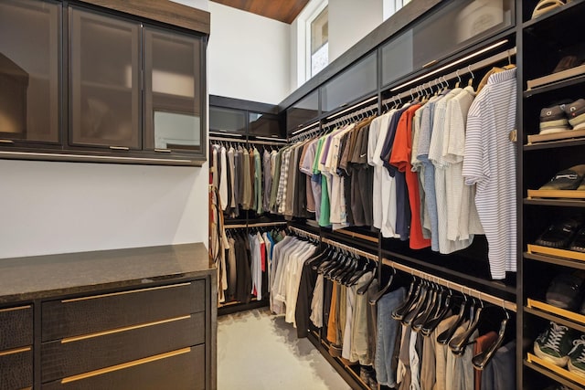 view of spacious closet