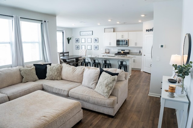 living room featuring dark hardwood / wood-style flooring and sink