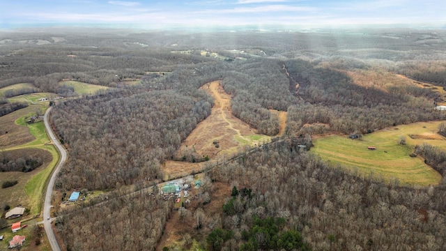 Listing photo 3 for 0 Shoals Branch Rd, Primm Springs TN 38476