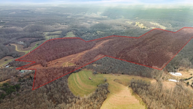 Listing photo 2 for 0 Shoals Branch Rd, Primm Springs TN 38476