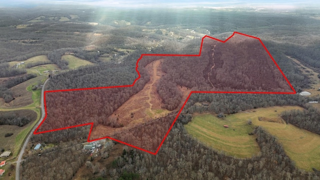 0 Shoals Branch Rd, Primm Springs TN, 38476 land for sale