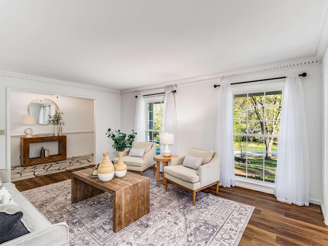 living room featuring crown molding and dark wood-type flooring