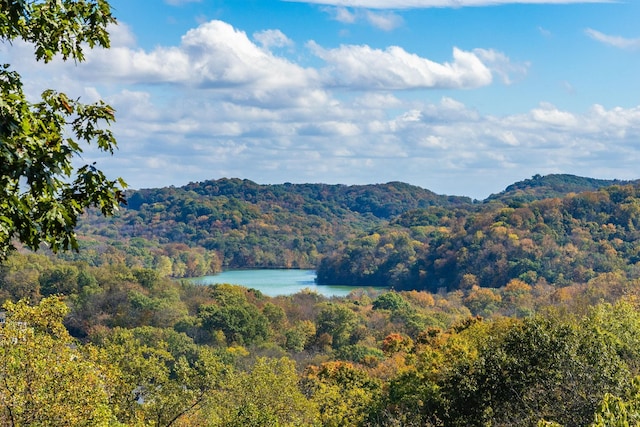 mountain view with a water view