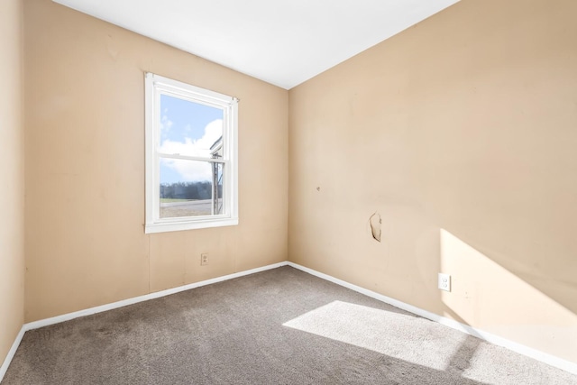 unfurnished room featuring carpet