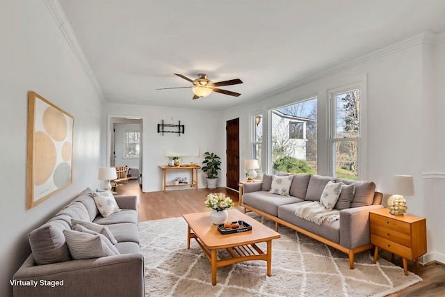 living room featuring ceiling fan, ornamental molding, and hardwood / wood-style flooring