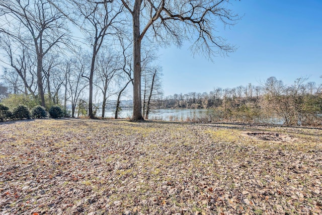 view of yard featuring a water view