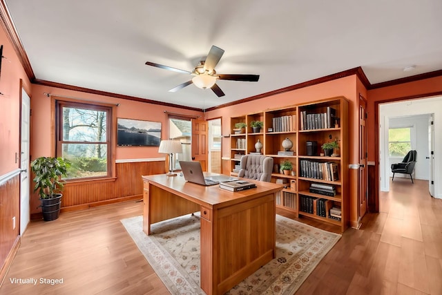 office space featuring ceiling fan, light hardwood / wood-style floors, and ornamental molding