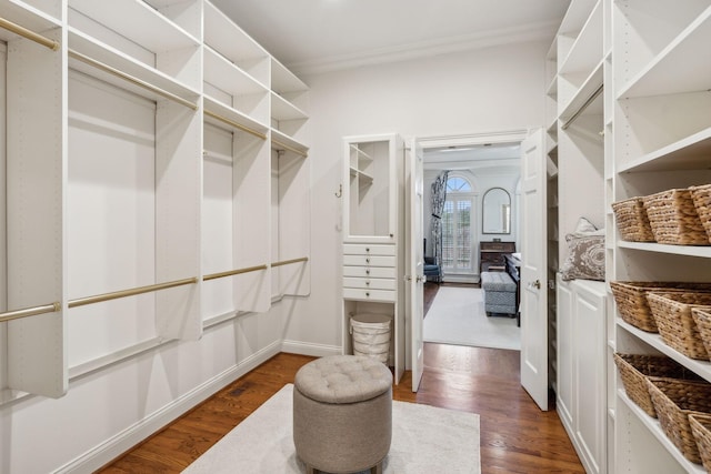 walk in closet featuring dark wood-type flooring