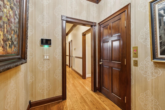 corridor with light wood-type flooring and crown molding