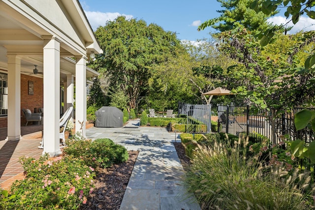 view of yard with a patio and ceiling fan