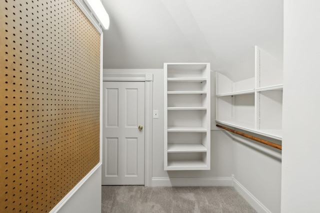 spacious closet with light colored carpet