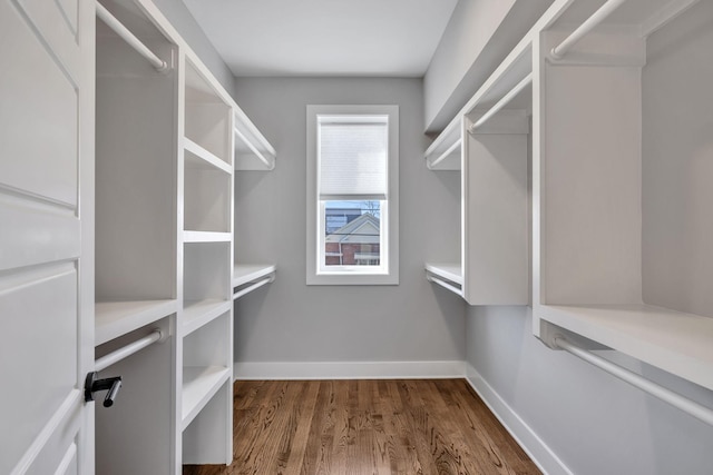 spacious closet with dark wood-type flooring