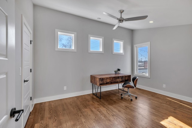 office space featuring hardwood / wood-style flooring and ceiling fan