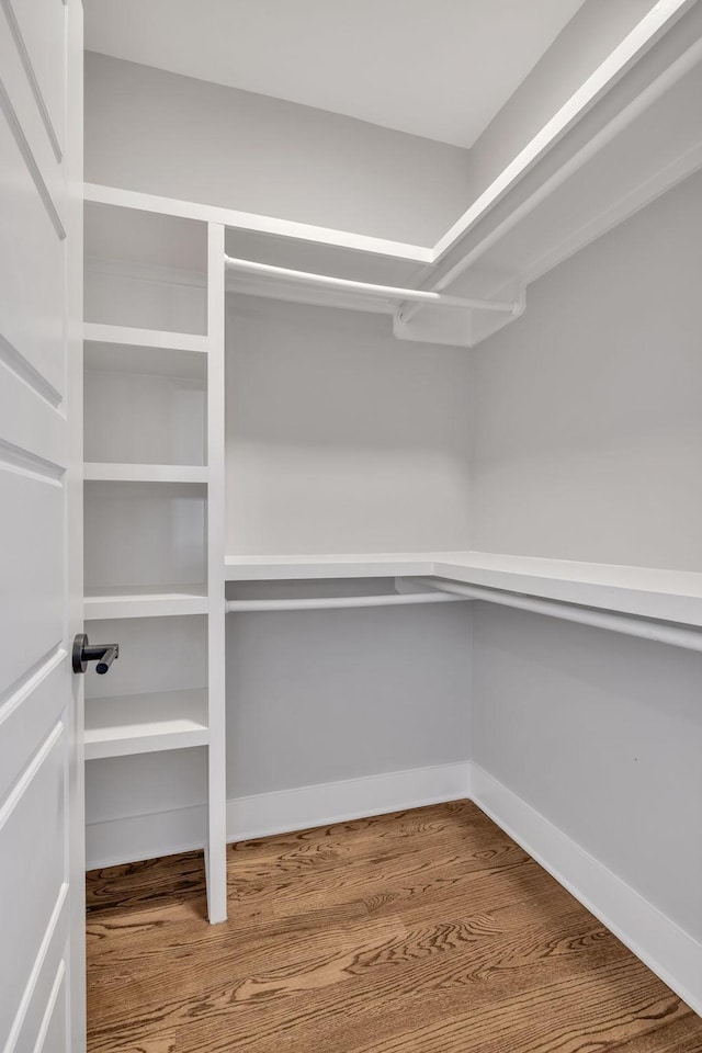 spacious closet with hardwood / wood-style floors