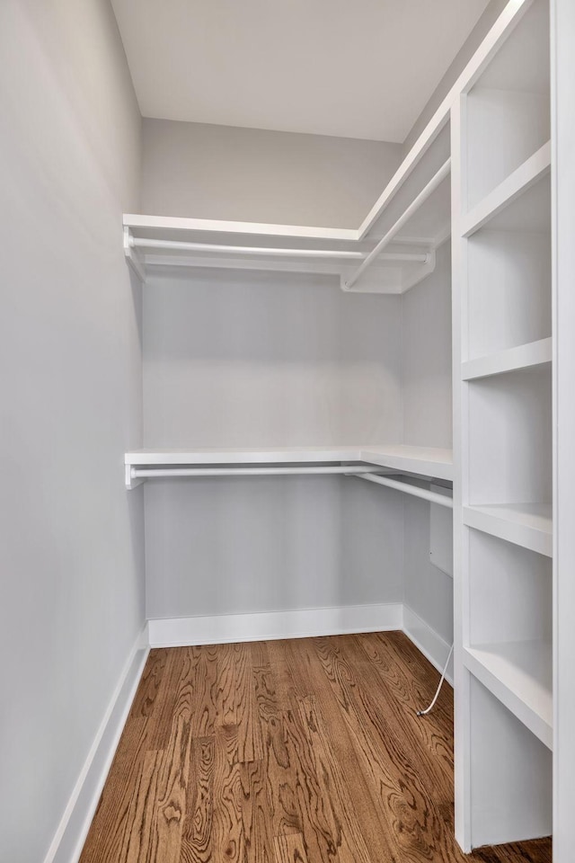 spacious closet featuring wood-type flooring