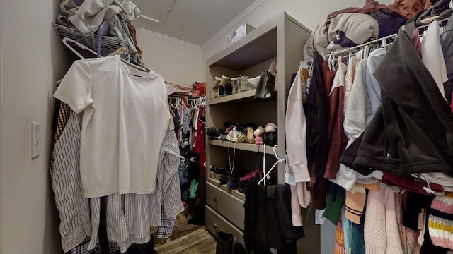 walk in closet featuring hardwood / wood-style floors