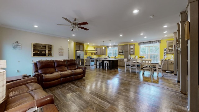 living room featuring ornamental molding, ceiling fan, and dark hardwood / wood-style floors