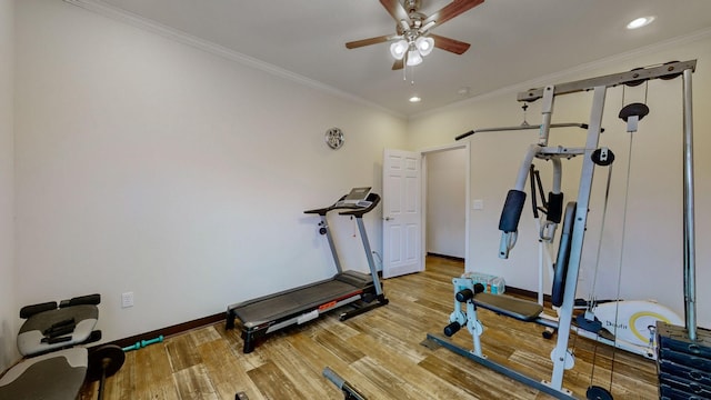 workout room with crown molding, ceiling fan, and light hardwood / wood-style flooring