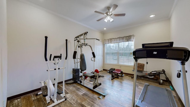 workout room featuring ceiling fan, hardwood / wood-style floors, and crown molding