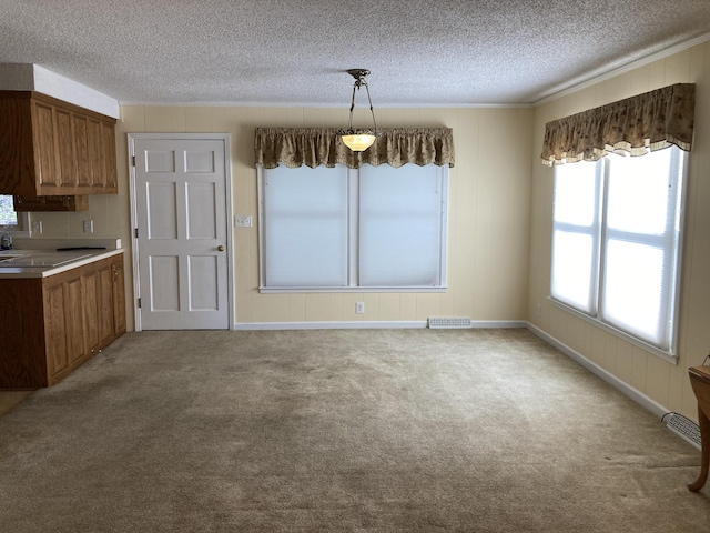 kitchen with a textured ceiling, hanging light fixtures, and light carpet