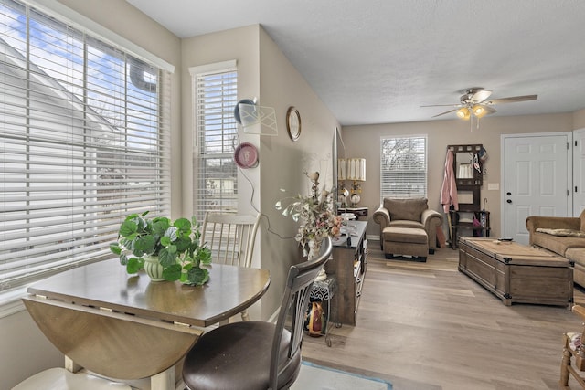 dining room with ceiling fan, light hardwood / wood-style floors, a wealth of natural light, and a textured ceiling