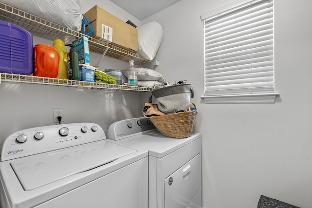 laundry area featuring independent washer and dryer