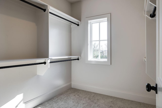 spacious closet featuring light colored carpet