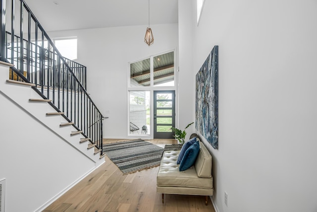 entryway featuring wood-type flooring and a healthy amount of sunlight