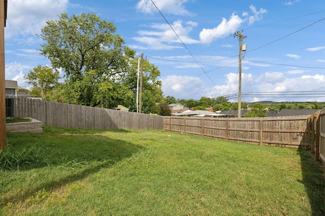 view of yard