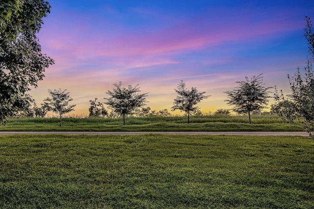 yard at dusk with a rural view