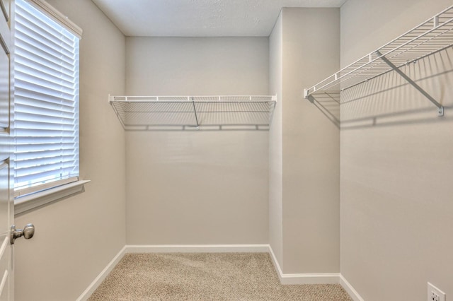 walk in closet with carpet