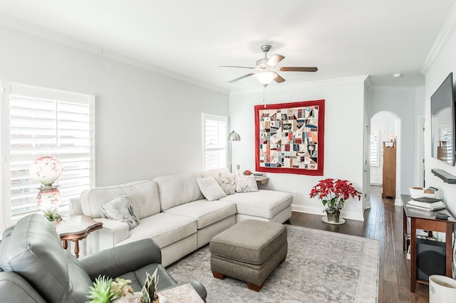 living room with ceiling fan, ornamental molding, and dark hardwood / wood-style flooring