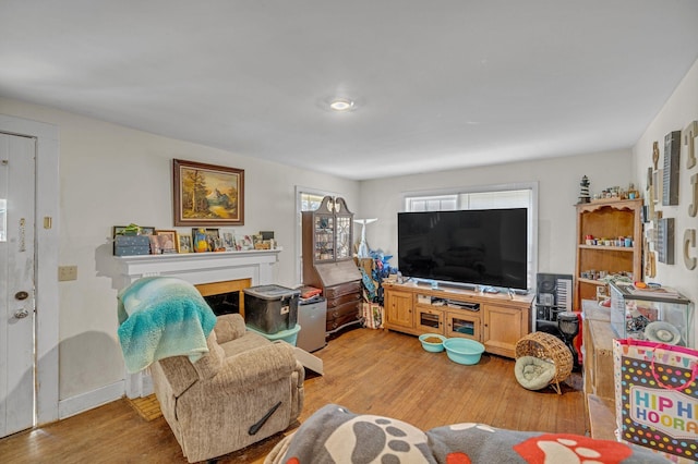 living room featuring light hardwood / wood-style floors