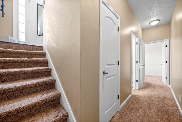 staircase featuring carpet flooring and a textured ceiling