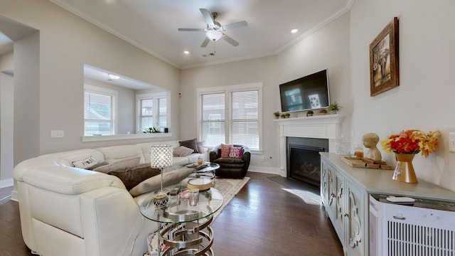 living room featuring ceiling fan, dark wood-type flooring, and ornamental molding