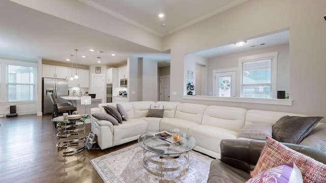 living room featuring dark wood-type flooring, crown molding, and sink