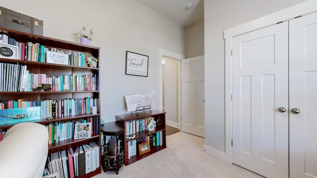 interior space featuring light carpet