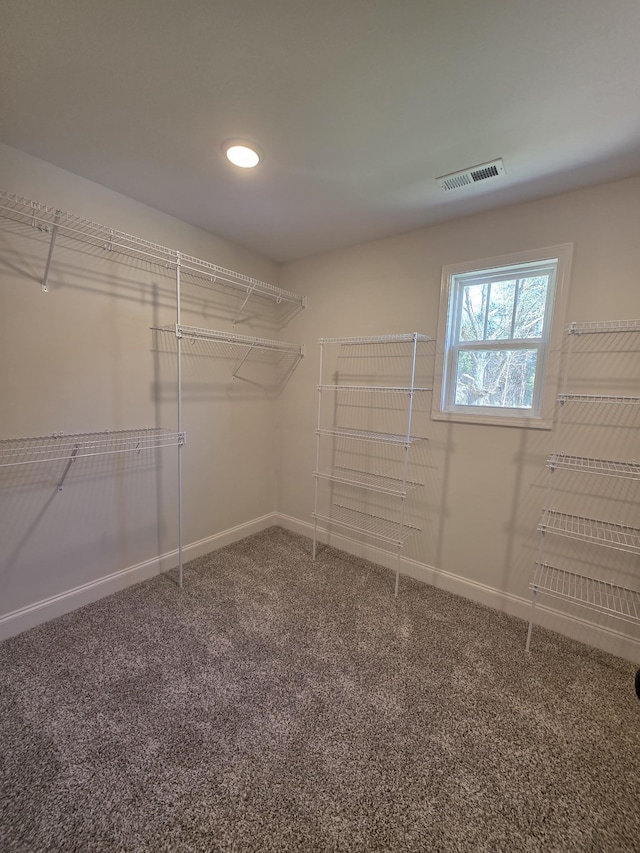 spacious closet featuring carpet flooring and visible vents