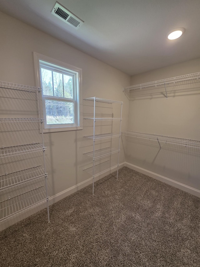 walk in closet featuring visible vents and carpet flooring