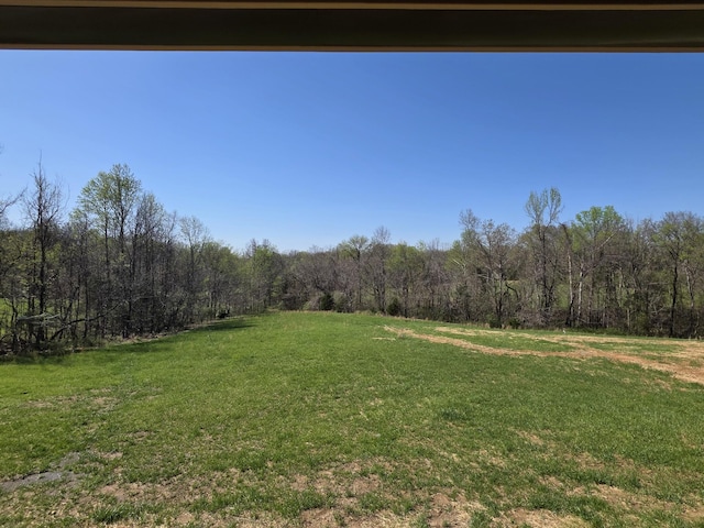 view of yard featuring a wooded view