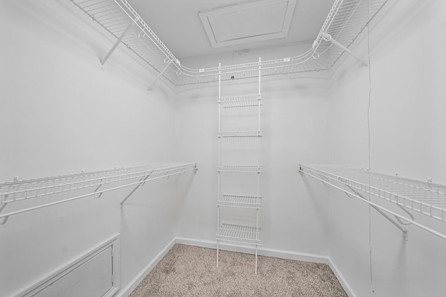 spacious closet featuring light colored carpet