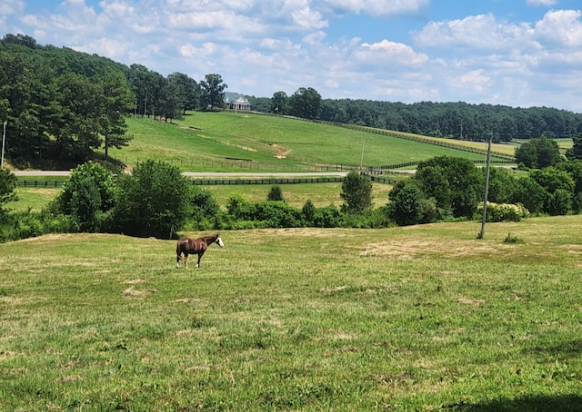 view of property's community featuring a yard and a rural view