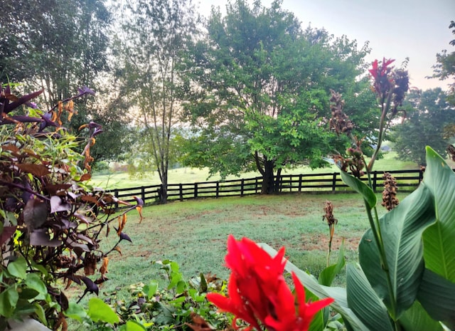 view of yard featuring a rural view