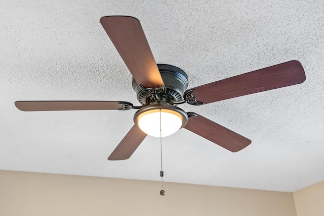 details featuring ceiling fan