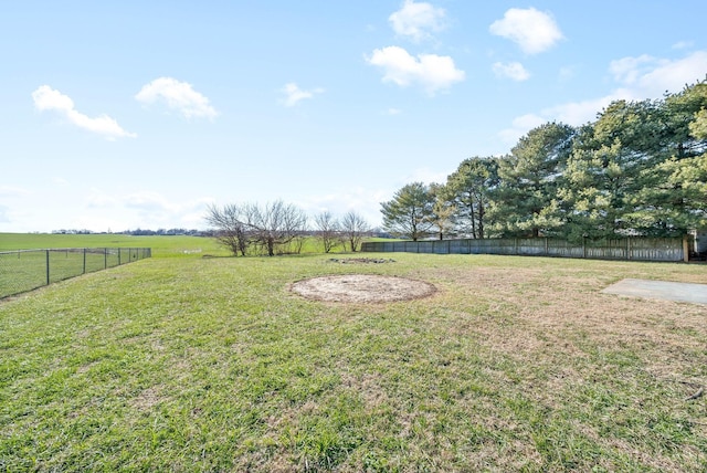 view of yard with a rural view