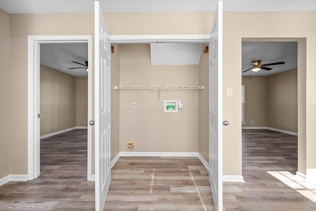 clothes washing area featuring ceiling fan, light hardwood / wood-style floors, and hookup for a washing machine