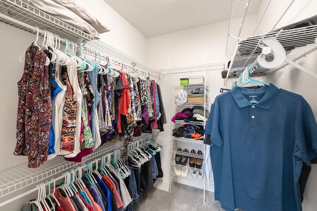 spacious closet with carpet